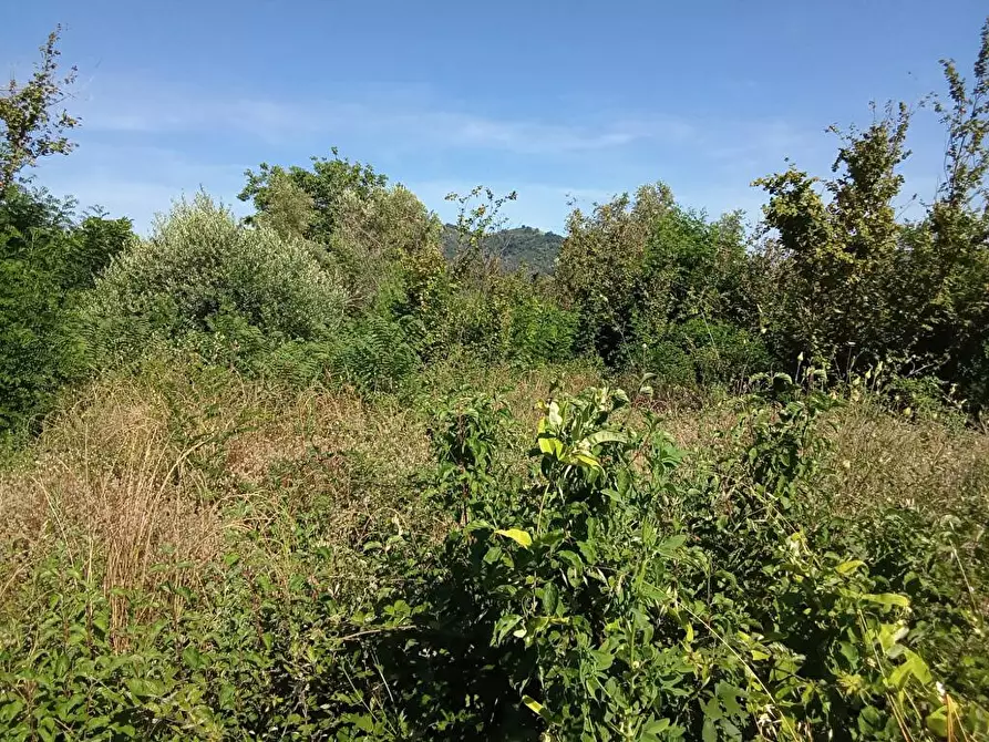 Immagine 1 di Terreno agricolo in vendita  in Via San Vito 1 a Sarno