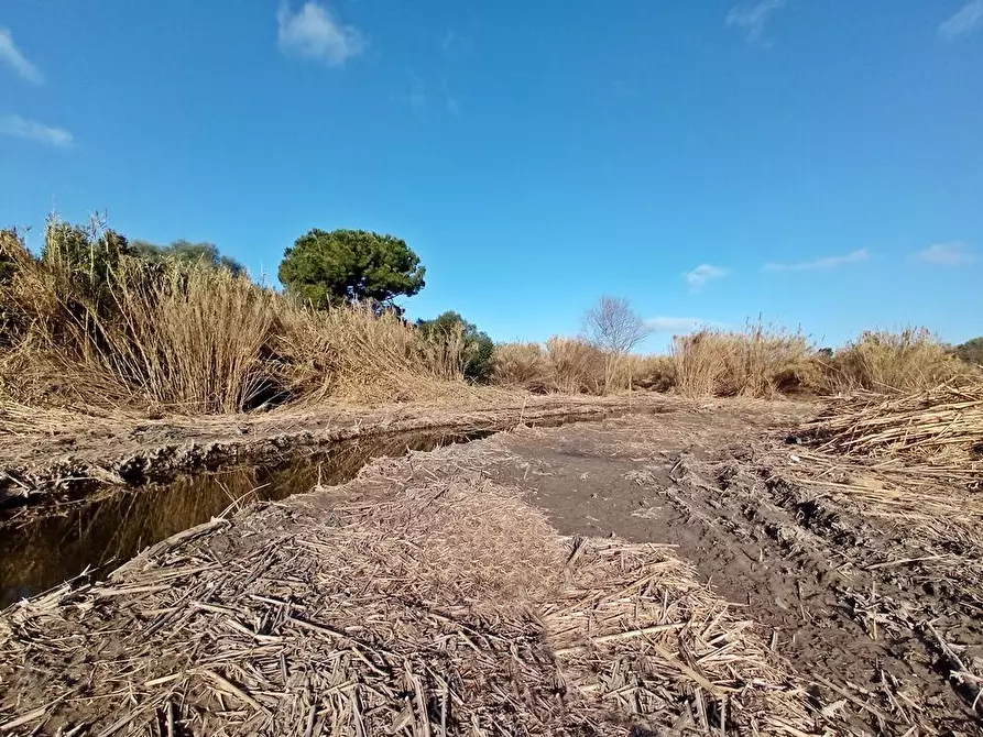 Immagine 6 di Magazzino in vendita  in SV San Quirico snc a Sassari