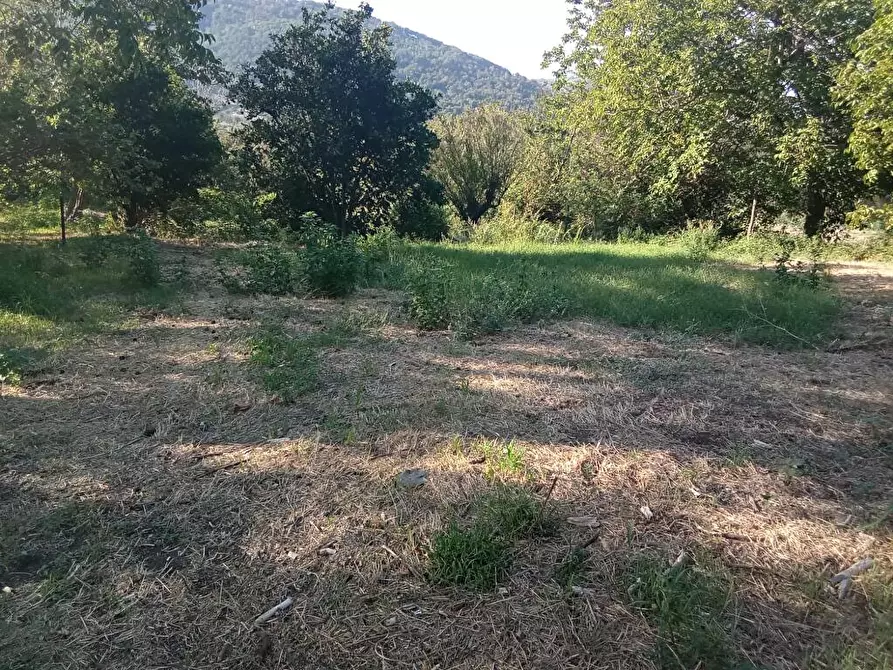 terreno agricolo in vendita a Sarno
