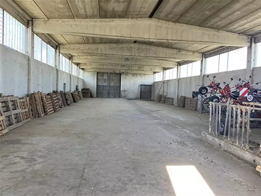 Immagine 5 di Terreno agricolo in vendita  in torricella a Sissa Trecasali