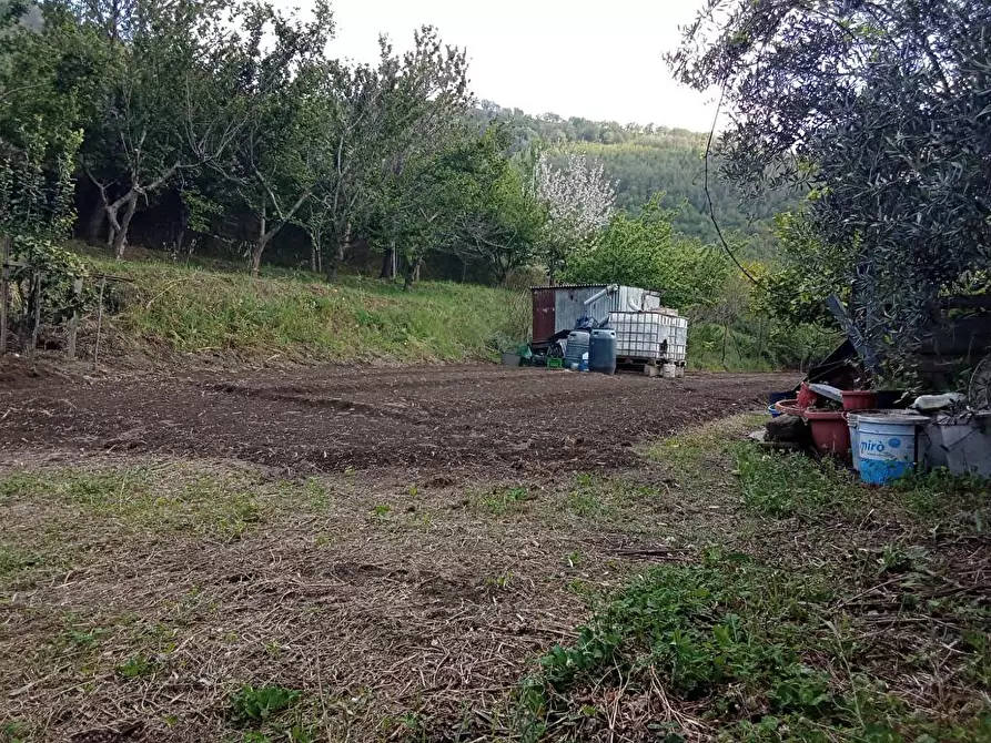 Immagine 4 di Terreno agricolo in vendita  in Via Sant'Eramo 1 a Sarno