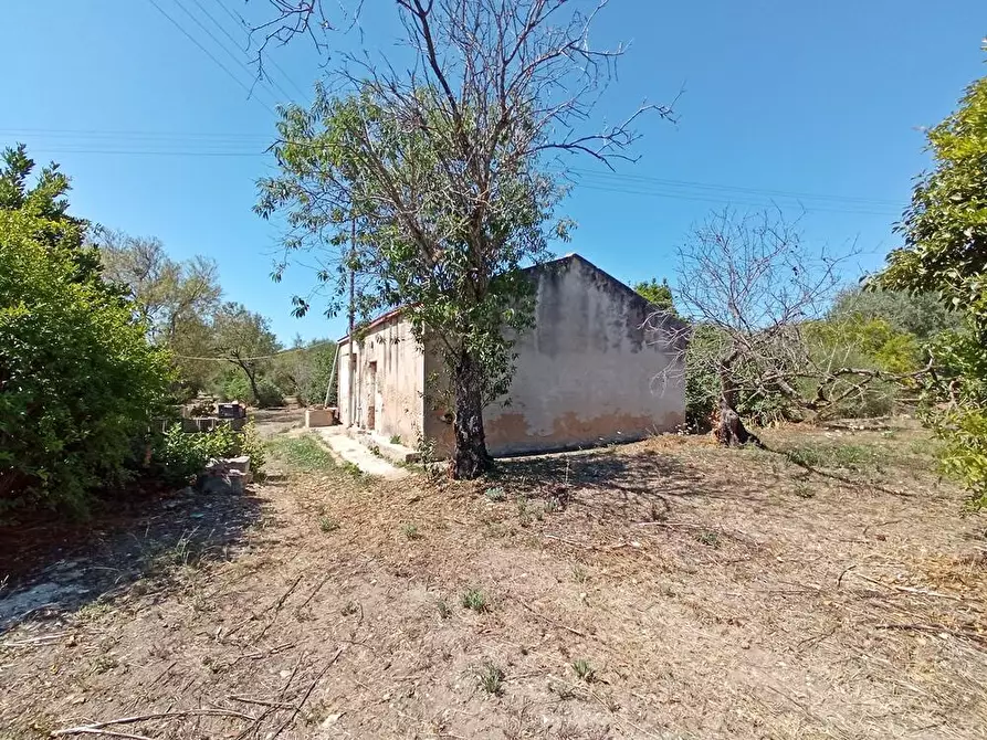 Immagine 8 di Casa colonica in vendita  in SV Pietro d'Ottava 130 a Sassari