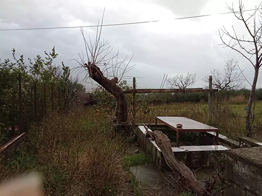 Immagine 10 di Terreno agricolo in vendita  in Via VillaVenere 1 a Sarno