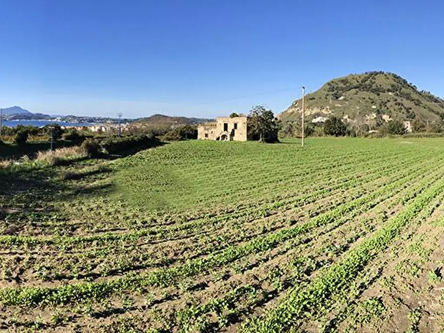 Immagine 15 di Stabile in vendita  in Via Cigliano snc a Pozzuoli