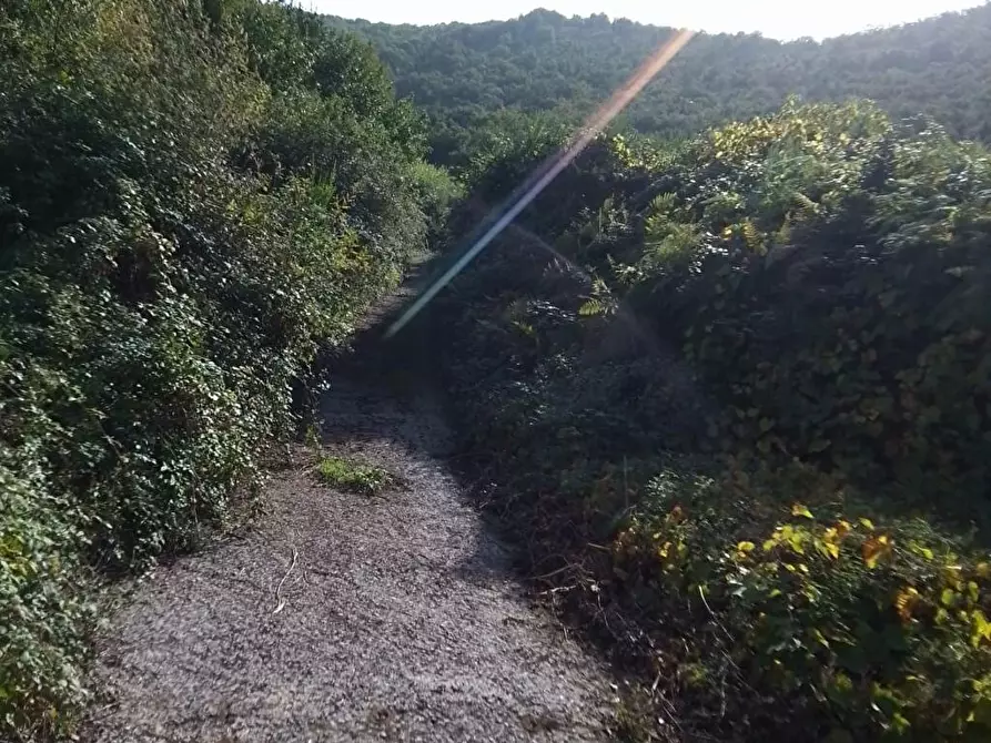 Immagine 6 di Terreno agricolo in vendita  in Via  Sant'Eramo 10 a Sarno