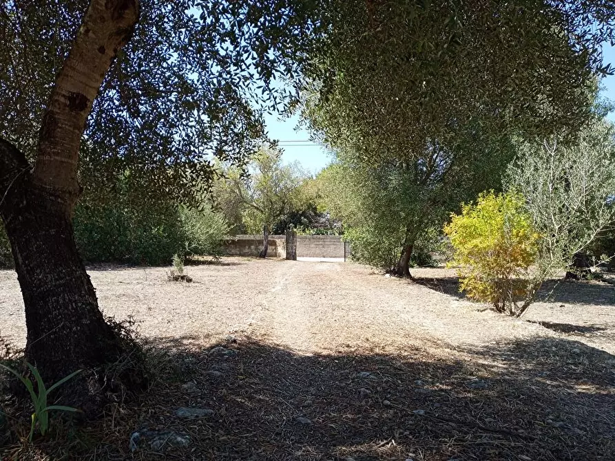 Immagine 16 di Casa colonica in vendita  in SV Pietro d'Ottava 130 a Sassari
