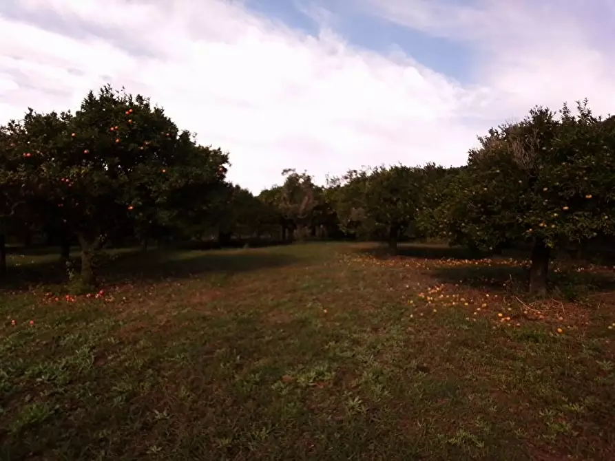 Immagine 3 di Terreno in vendita  in Via Mura D'Arci 1 a Sarno