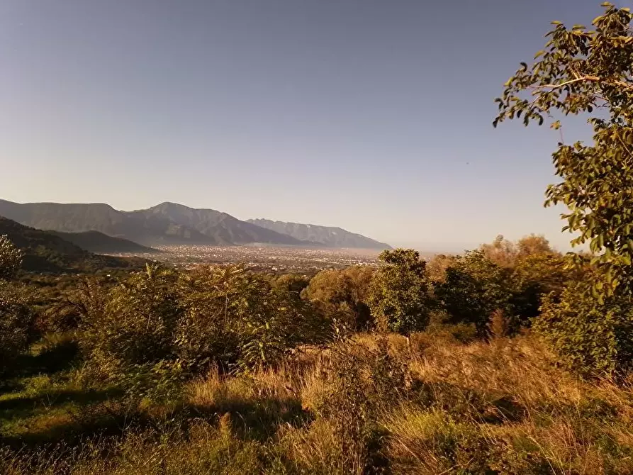 Immagine 2 di Terreno agricolo in vendita  in Via Villa Venere 1 a Sarno