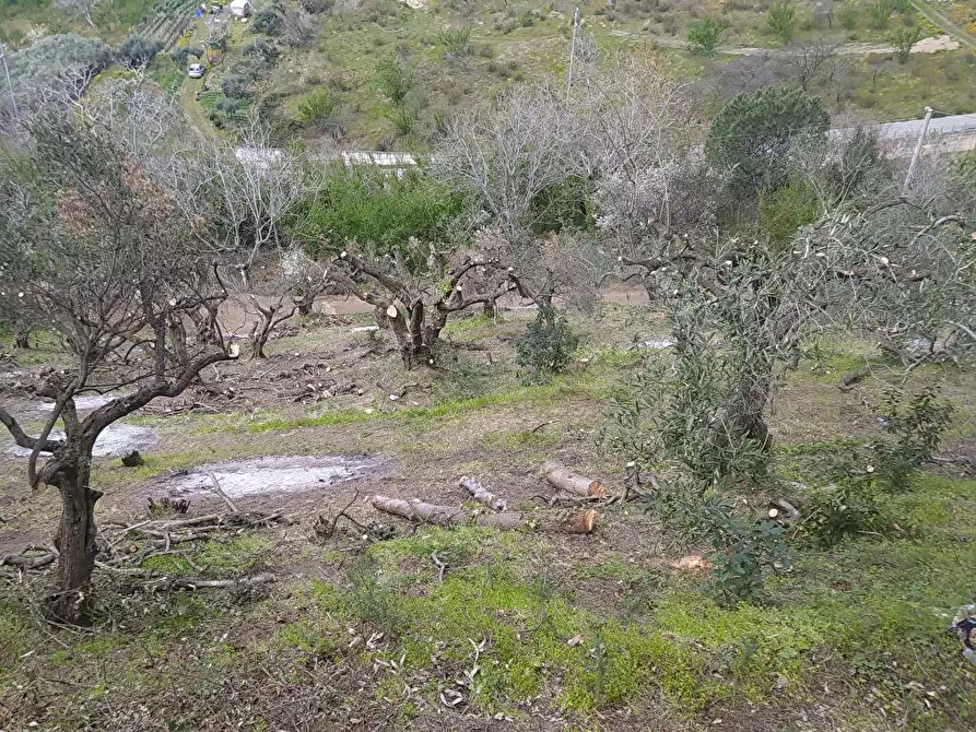 Immagine 1 di Terreno agricolo in vendita  in Via Bracigliano 1 a Sarno