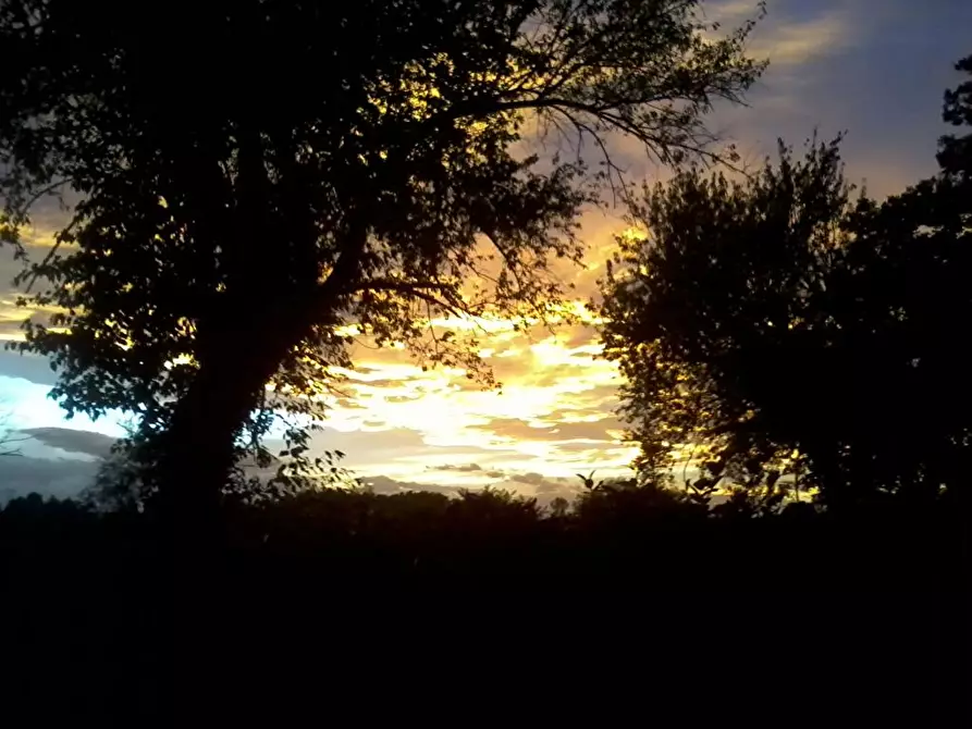 Immagine 12 di Albergo/B&B/Residence in affitto  in Via Caduti Per la Liberta' 80 a Castenaso