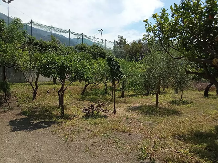 Immagine 3 di Terreno agricolo in vendita  in Via San Vito 1 a Sarno