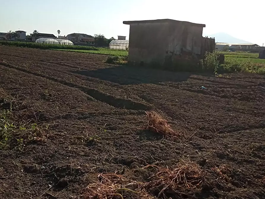 Immagine 4 di Terreno agricolo in vendita  in Via 2 Starzella 1 a Sarno