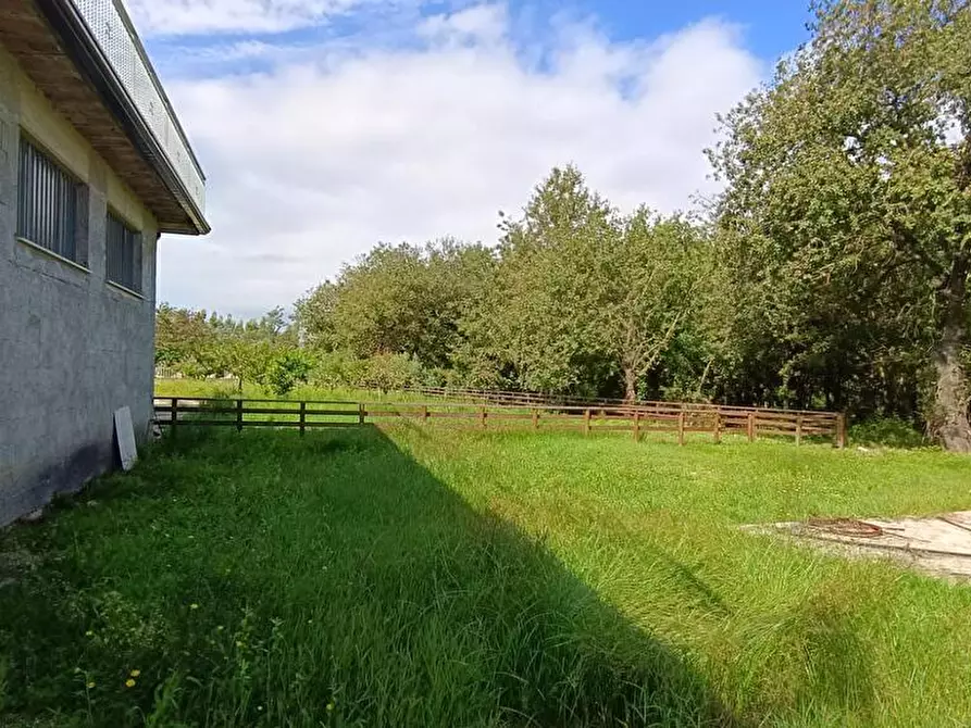 Immagine 16 di Casa indipendente in vendita  in Contrada Zampini  a Ascea