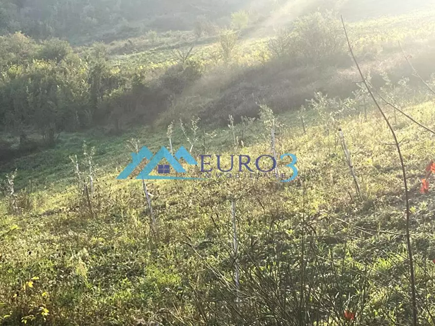 Immagine 5 di Terreno in vendita  in PIANE DI MORRO 1 a Folignano