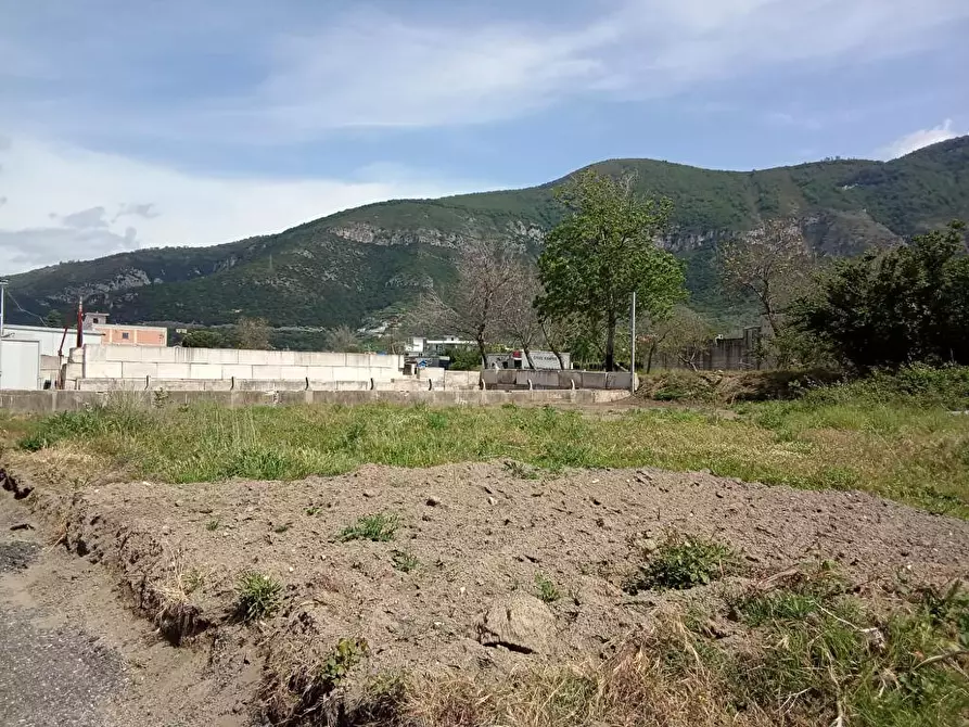 Immagine 3 di Terreno agricolo in affitto  in Via San Lorenzo 1 a Sarno
