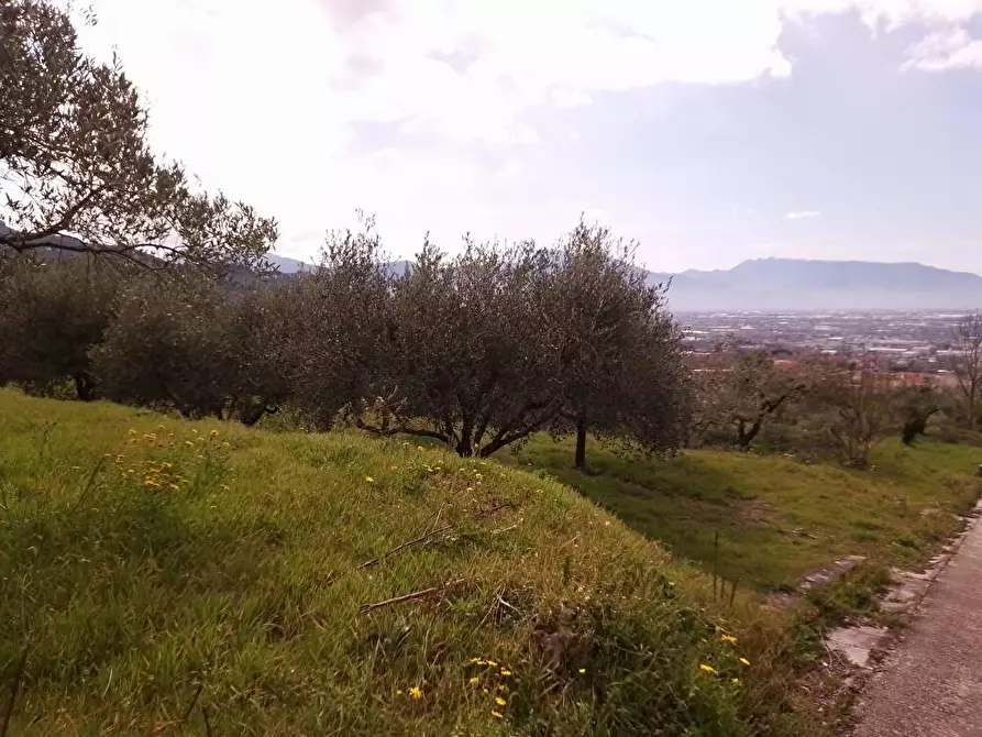 Immagine 2 di Terreno agricolo in vendita  in Episcopio 1 a Sarno