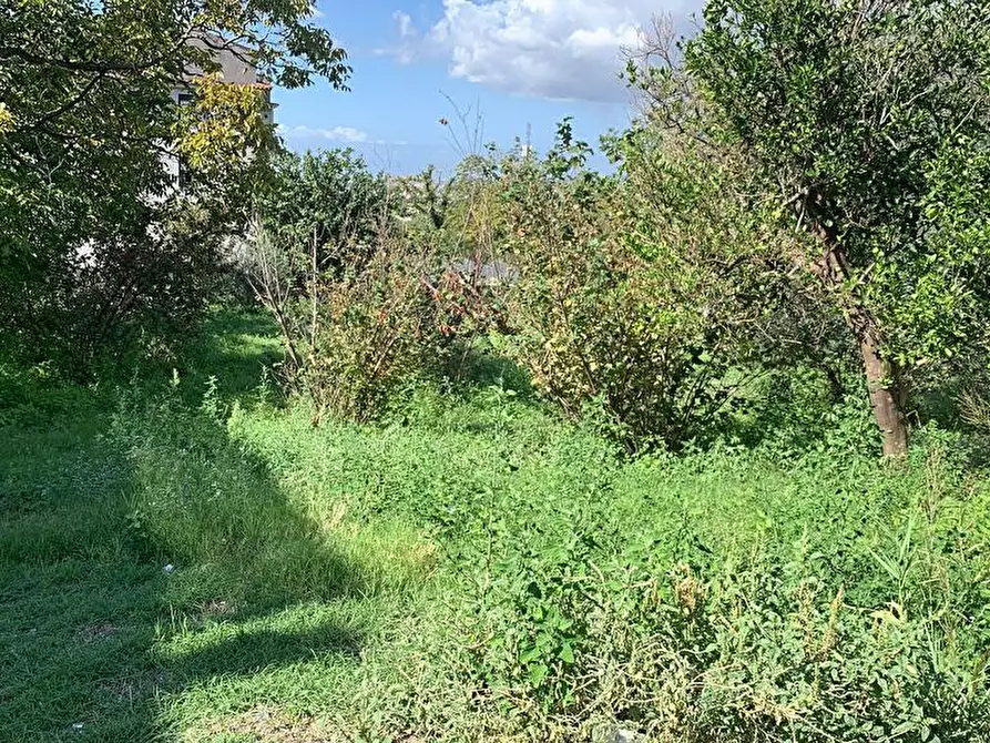 Immagine 5 di Terreno agricolo in affitto  in Via Le Noci 1 a Sarno