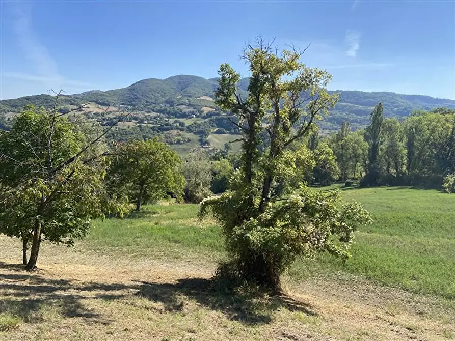 Immagine 4 di Rustico / casale in vendita  in pellegrino parmense 1 a Pellegrino Parmense