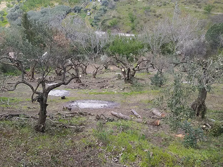 Immagine 2 di Terreno agricolo in vendita  in Via Bracigliano 1 a Sarno
