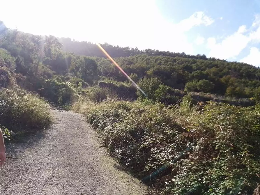 Immagine 7 di Terreno agricolo in vendita  in Via Sant'Eramo 1 a Sarno