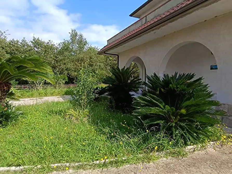 Immagine 30 di Casa indipendente in vendita  in Contrada Zampini  a Ascea