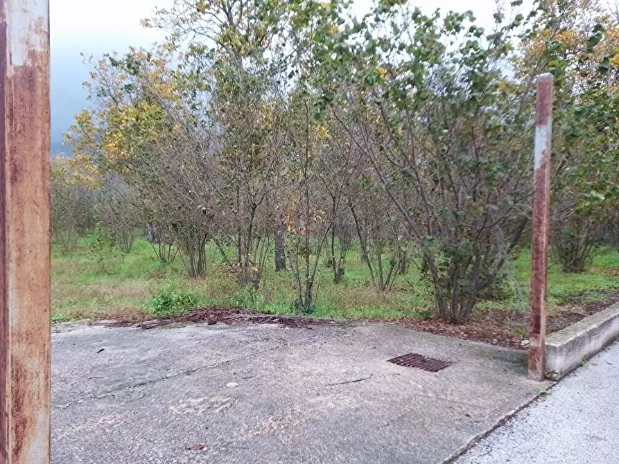 Immagine 6 di Terreno agricolo in vendita  in Via Contrada Boschetto 1 a Sarno