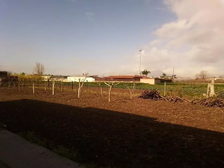 Immagine 2 di Terreno agricolo in vendita  in Via Ponte Alario 1 a Sarno
