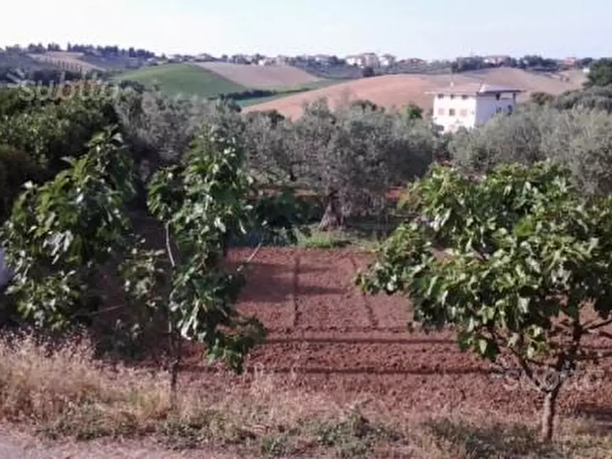 Immagine 5 di Terreno edificabile in vendita  in Via Boreale a Pianella