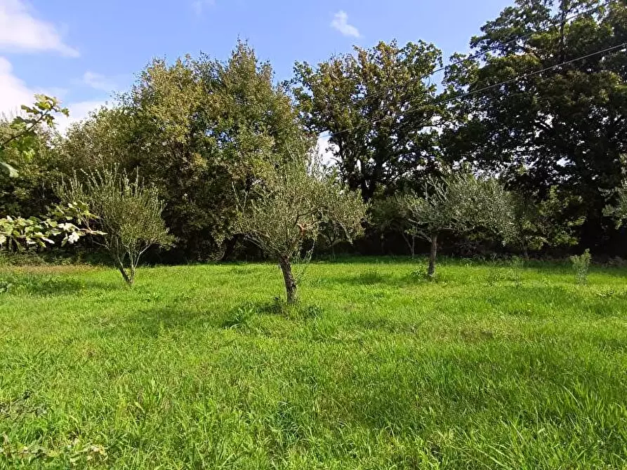 Immagine 18 di Casa indipendente in vendita  in Contrada Zampini  a Ascea