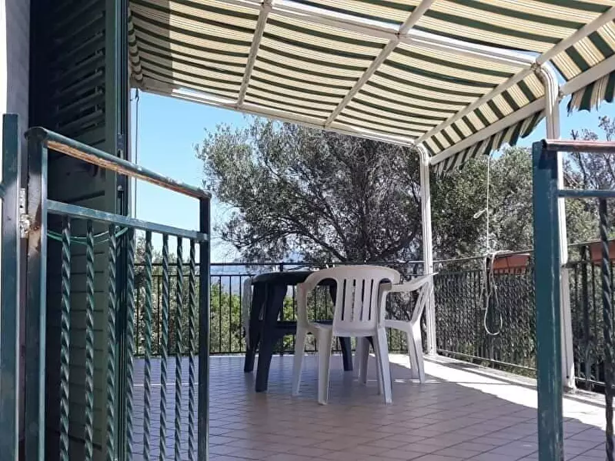 Immagine 6 di Casa vacanze in affitto  a Casal Velino