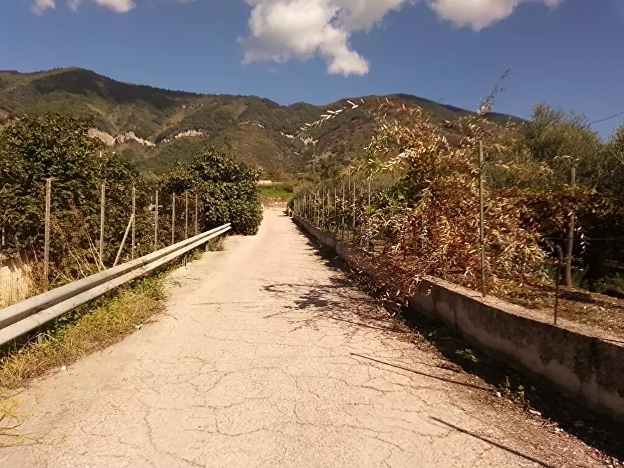 Immagine 2 di Terreno agricolo in vendita  in Via Sant'Eramo 1 a Sarno