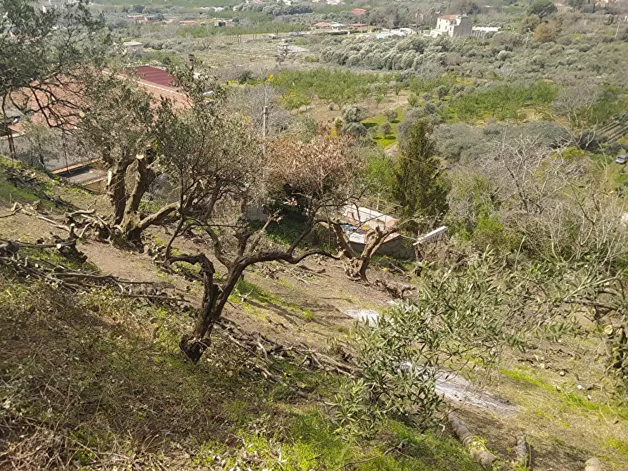 Immagine 5 di Terreno agricolo in vendita  in Via Bracigliano 1 a Sarno
