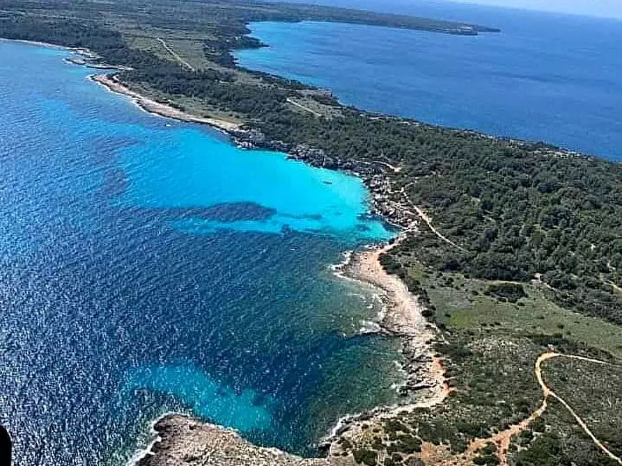 Immagine 3 di Abitazione tipica in affitto  a Monteverdi Marittimo