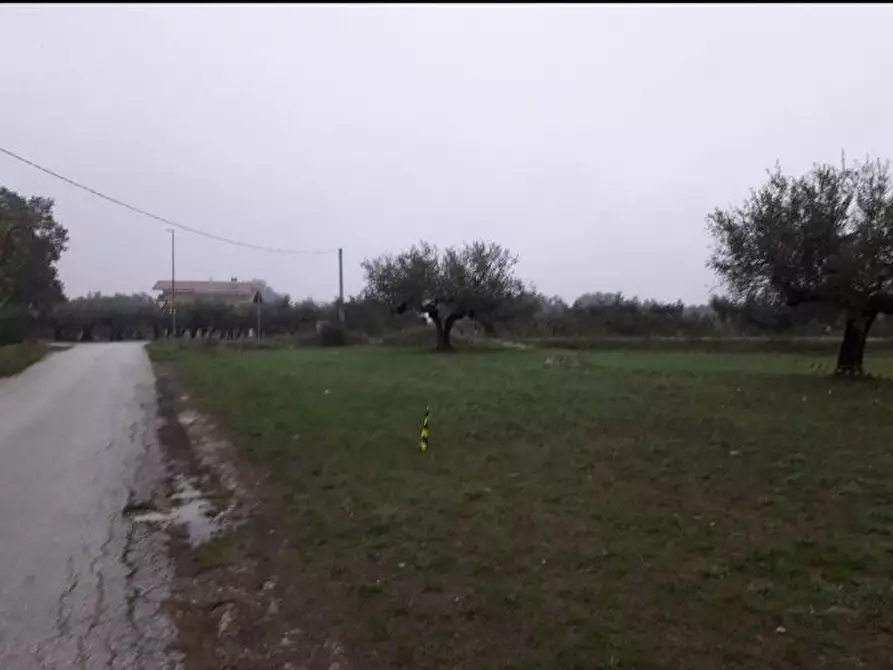 Immagine 5 di Terreno edificabile in vendita  in Via Faresi a Cepagatti