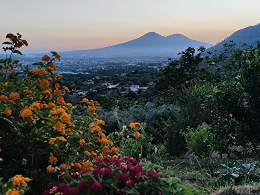 Immagine 4 di Terreno agricolo in vendita  in Via  Sant'Eramo 10 a Sarno
