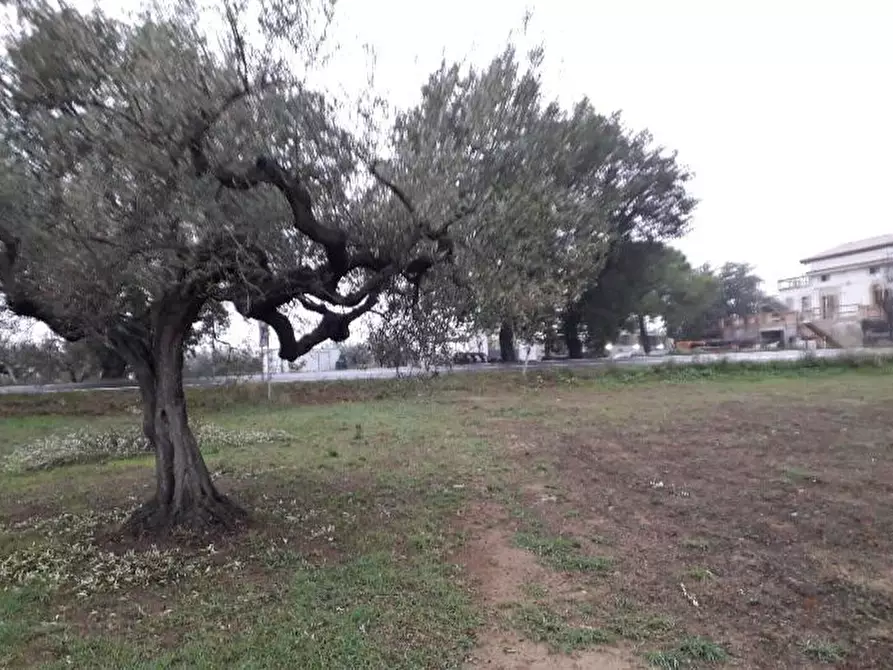 Immagine 7 di Terreno edificabile in vendita  in Via Faresi a Cepagatti
