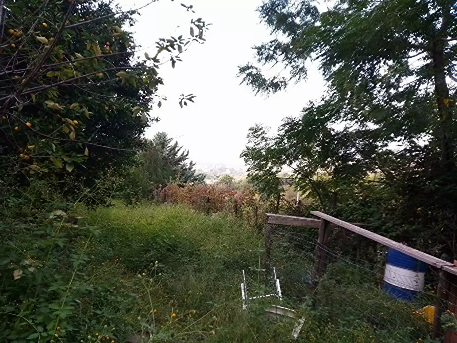 Immagine 2 di Terreno agricolo in vendita  in Via Bracigliano 1 a Sarno