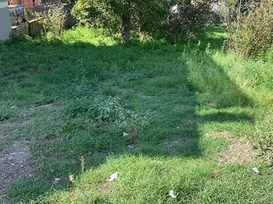 Immagine 4 di Terreno agricolo in affitto  in Via Le Noci 1 a Sarno