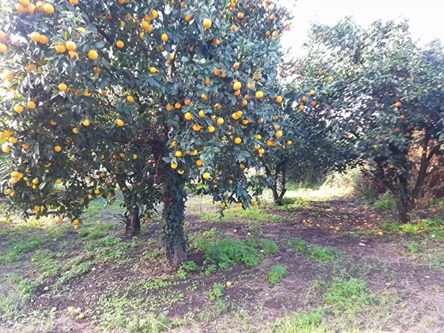 Immagine 9 di Terreno in vendita  in Via Mura D'Arci 1 a Sarno