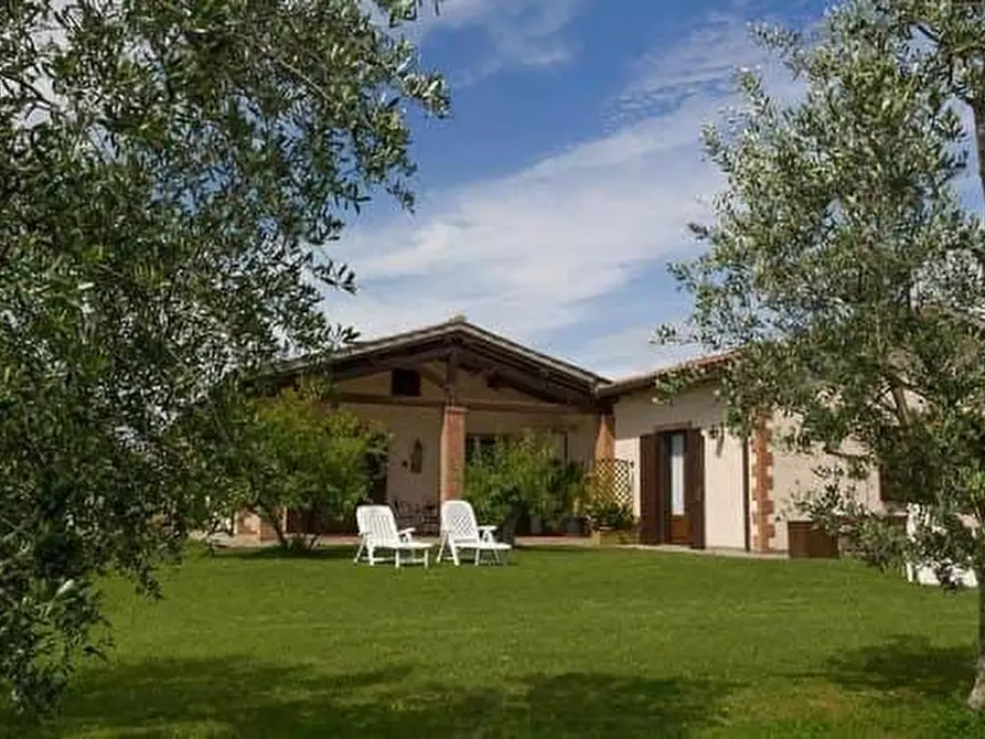 Immagine 11 di Appartamento in affitto  a Grosseto