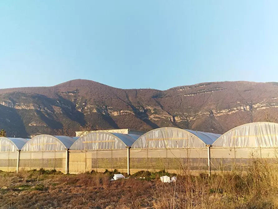 Immagine 1 di Terreno agricolo in vendita  in Zona Industriale Sarno 1 a Sarno