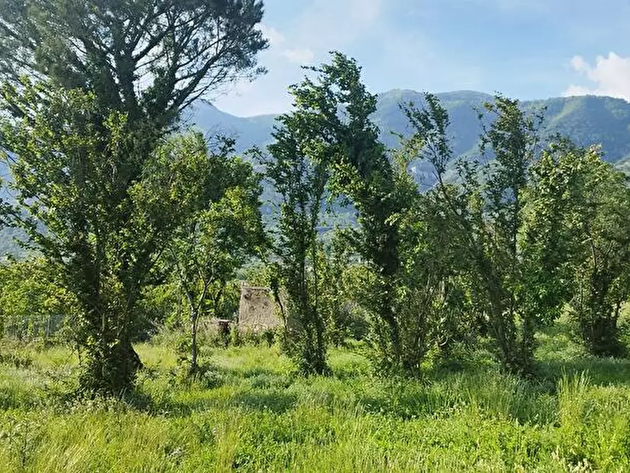 Immagine 8 di Terreno agricolo in vendita  in Via Sant'Eramo 2 a Sarno