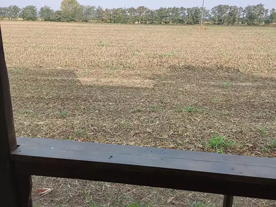 Immagine 6 di Casa indipendente in affitto  in Via G.Matteotti 63 a Pieve Del Cairo