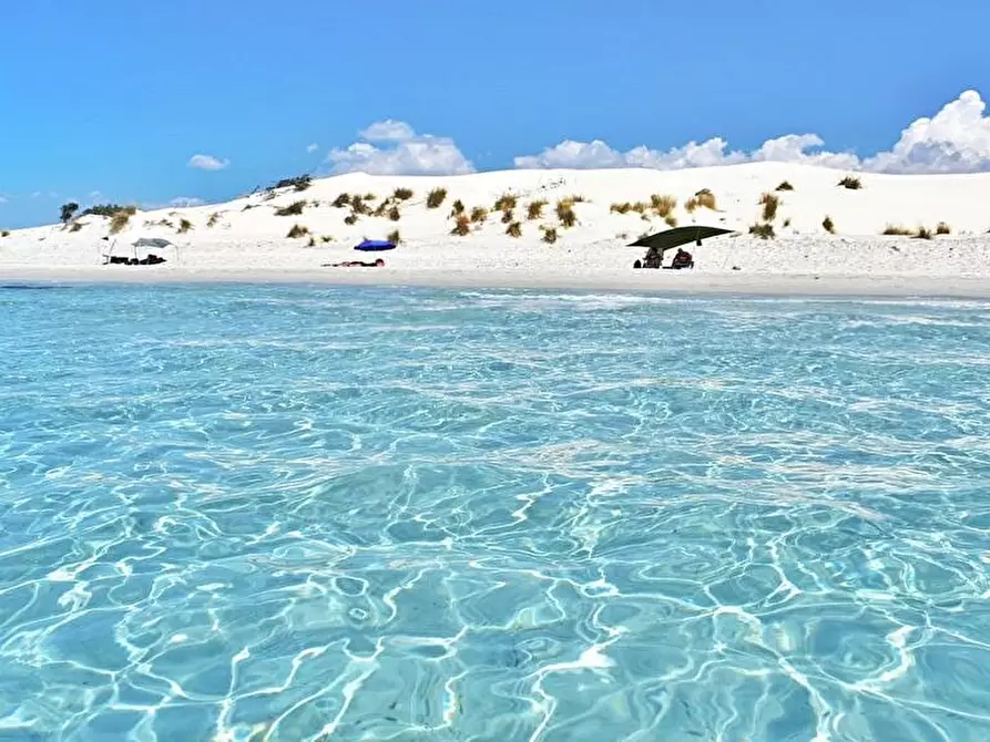 Immagine 10 di Appartamento in affitto  a Teulada