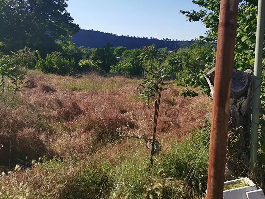 Immagine 2 di Terreno agricolo in vendita  in via Pietrarsa 33 a Pozzuoli