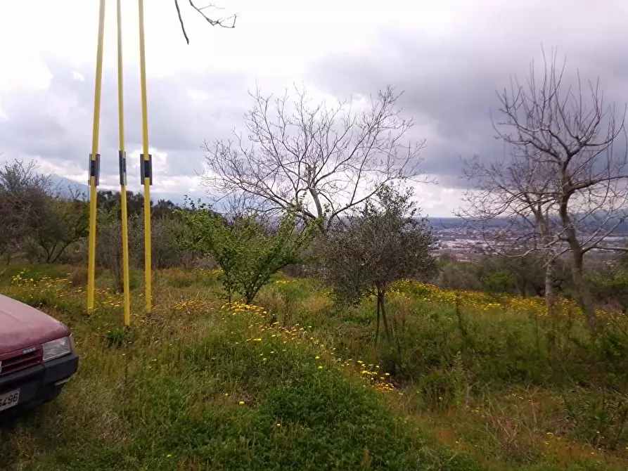 Immagine 4 di Terreno agricolo in vendita  in Via Curti 1 a Sarno