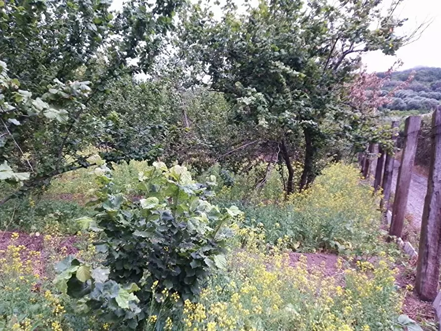 Immagine 8 di Terreno in vendita  in Via Sant'Eramo 10 a Sarno