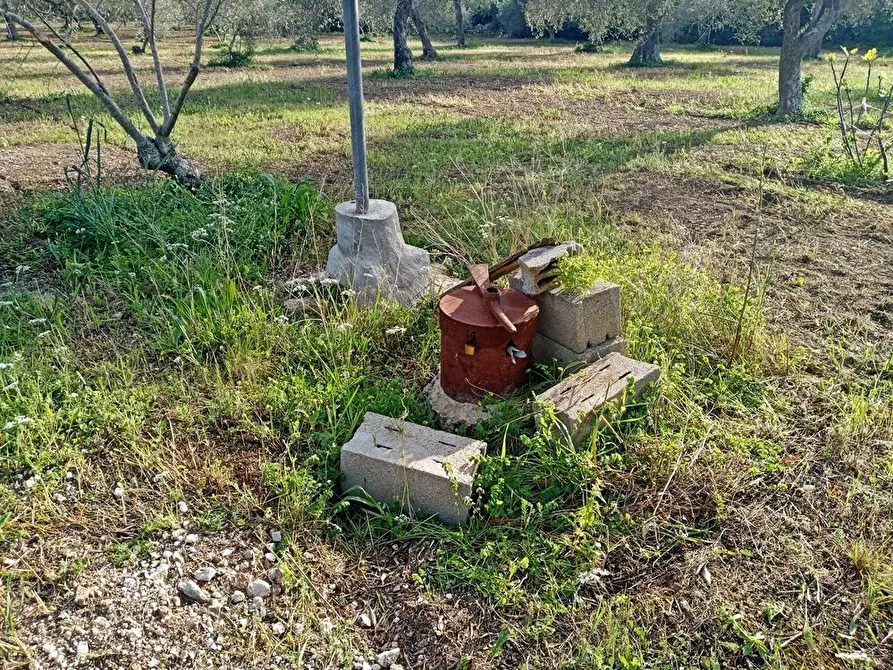 Immagine 6 di Terreno agricolo in vendita  in Str. bancali - argentiera  112 a Sassari