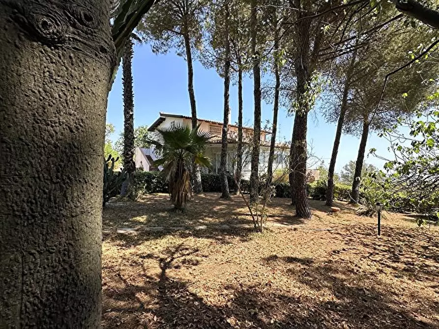 Immagine 7 di Villa in vendita  in Contrada Cugni 39 a Noto