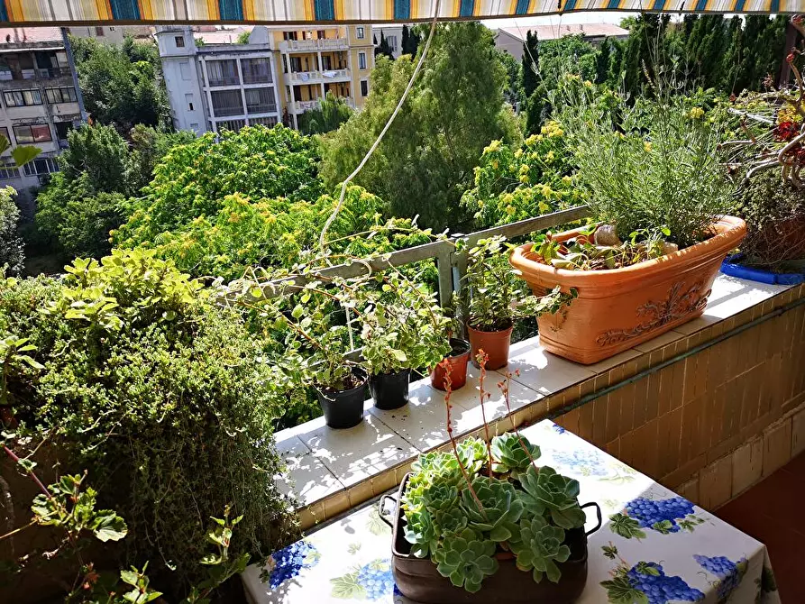 Immagine 4 di Camera in affitto  a Sassari